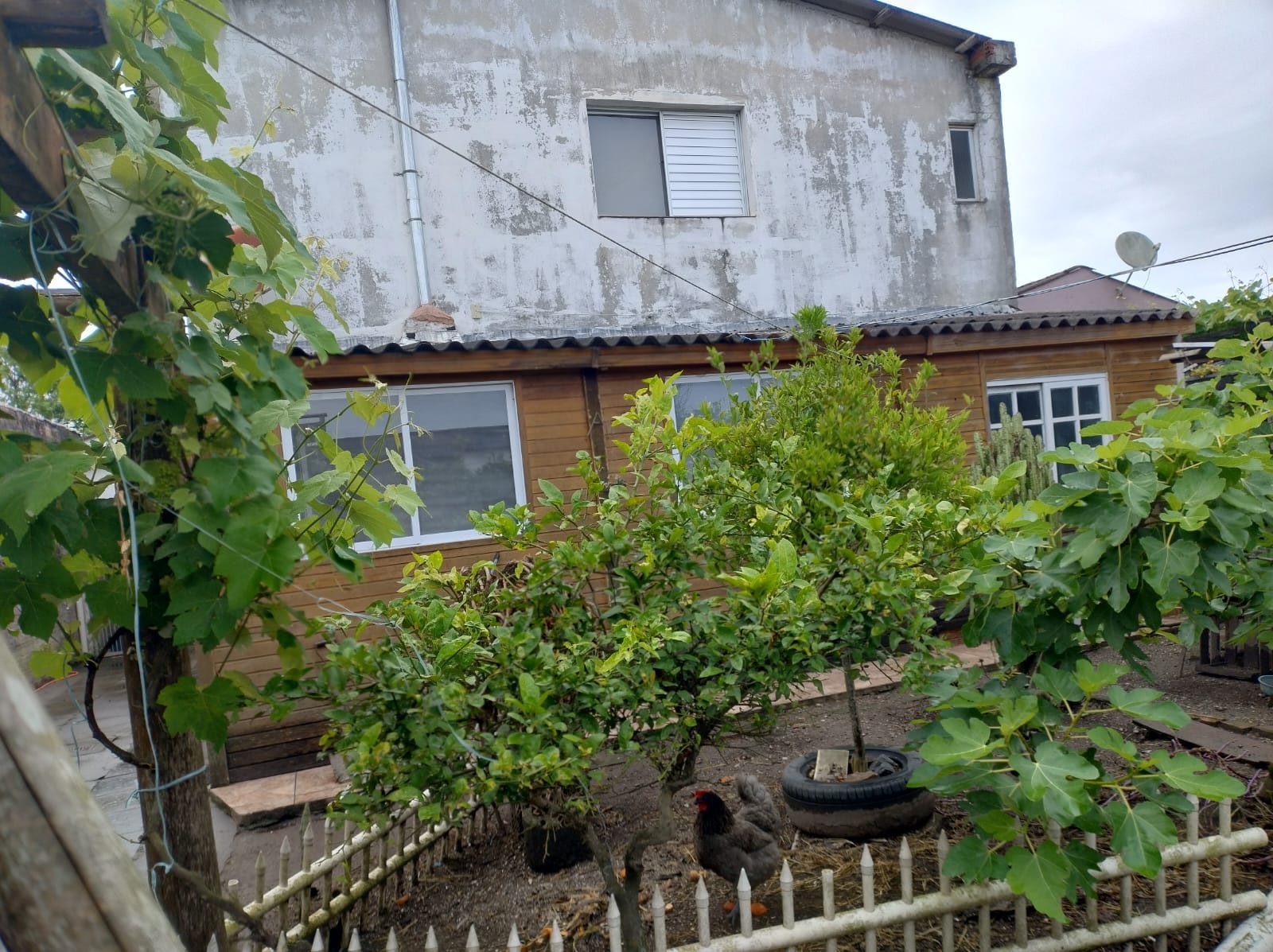 Casa no sítio Floresta para 2 famílias